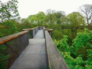 2017-05-10 05.42.07 1