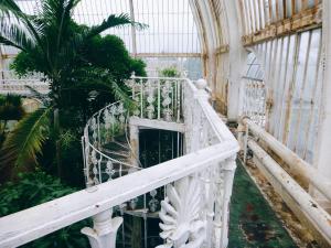 2017-05-10 05.42.22 1