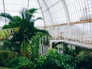 2017-05-10 05.42.26 1