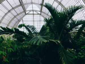 2017-05-10 05.42.29 1