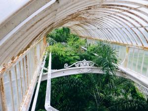 2017-05-10 05.42.35 1