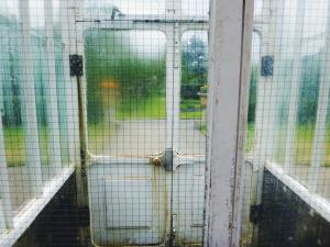 2017-05-10 05.42.44 1