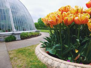 2017-05-10 05.42.49 1