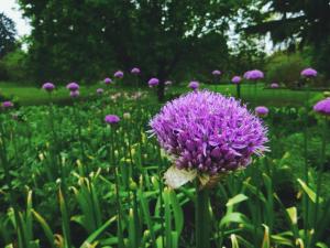 2017-05-10 05.42.58 1