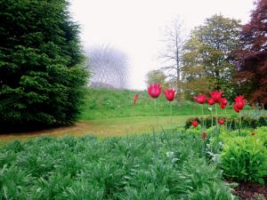 2017-05-10 05.43.08 1