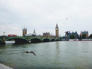 2017-05-10 05.44.12 1