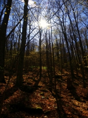 2016-04-24 07.06.03 1