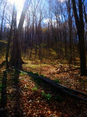 2016-04-24 07.06.06 1