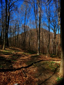 2016-04-24 07.06.10 1