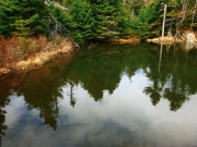 2016-04-24 07.06.13 1