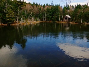 2016-04-24 07.06.18 1