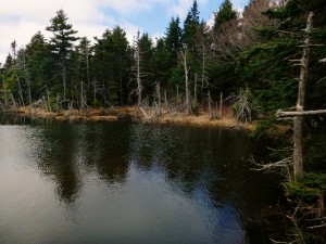 2016-04-24 07.06.21 1