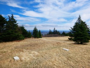 2016-04-24 07.06.44 1