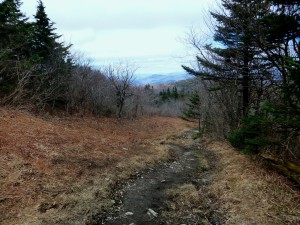 2016-04-24 07.06.46 1