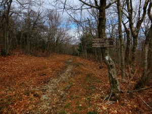 2016-04-24 07.06.49 1