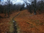 2016-04-24 07.06.53 1