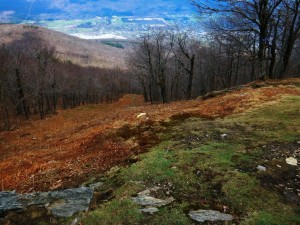 2016-04-24 07.07.03 1