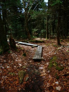 2016-04-24 07.07.11 1