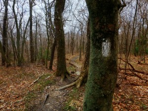 2016-04-24 07.07.15 1