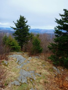 2016-04-24 07.07.18 1