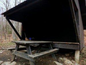 2016-04-24 07.07.41 1