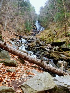 2016-04-24 07.07.43 1