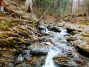 2016-04-24 07.08.01 1