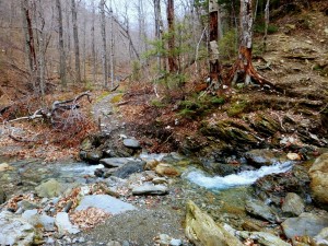 2016-04-24 07.08.11 1