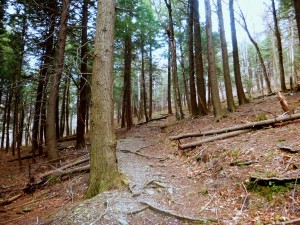 2016-04-24 07.08.14 1