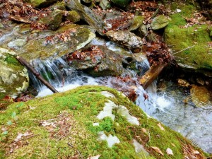 2016-04-24 07.08.21 1