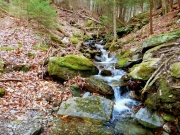 2016-04-24 07.08.24 1