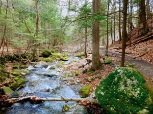 2016-04-24 07.08.29 1