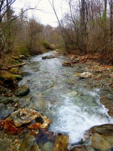 2016-04-24 07.08.33 1