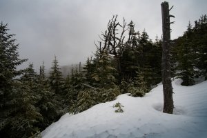 20180224-10-DSC02488