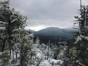 2017-01-02 12.35.44 1