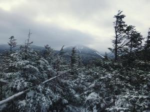 2017-01-02 12.35.48 1