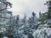 2017-01-02 12.35.53 2