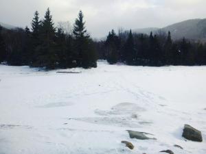 2017-01-07 09.17.02 1