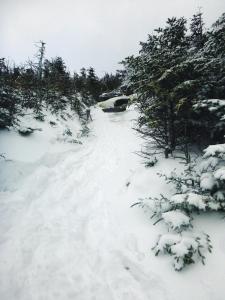 2017-01-07 09.17.04 1