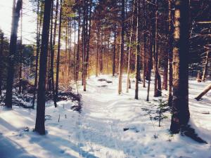 2017-01-07 09.17.06 1