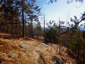 2016-03-27 08.11.26 1