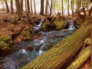 2016-03-27 08.11.47 1