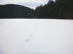 2016-02-28 05.03.18 1