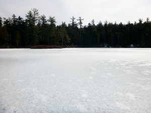 2016-02-28 05.03.20 1