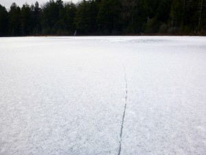 2016-02-28 05.03.22 1