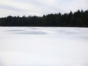 2016-02-28 05.03.25 1