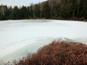 2016-02-28 05.03.27 1