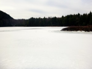 2016-02-28 05.03.37 1