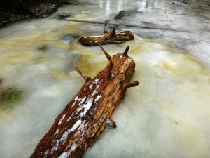 2016-02-28 05.03.40 1