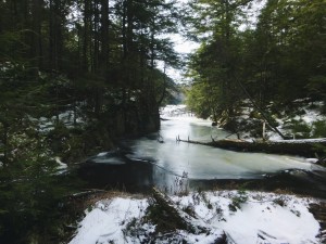 2016-02-28 05.03.43 1